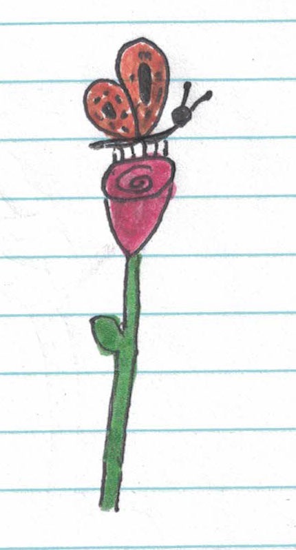 drawing of a buttefly on a flower